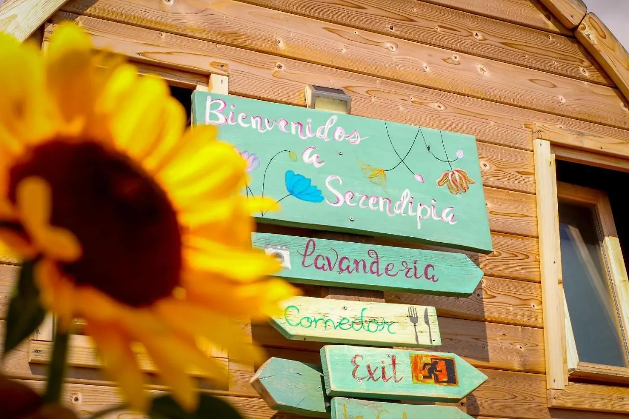 Laurisilva Love Spa Sauna Y Piscina Buzanada Holiday home