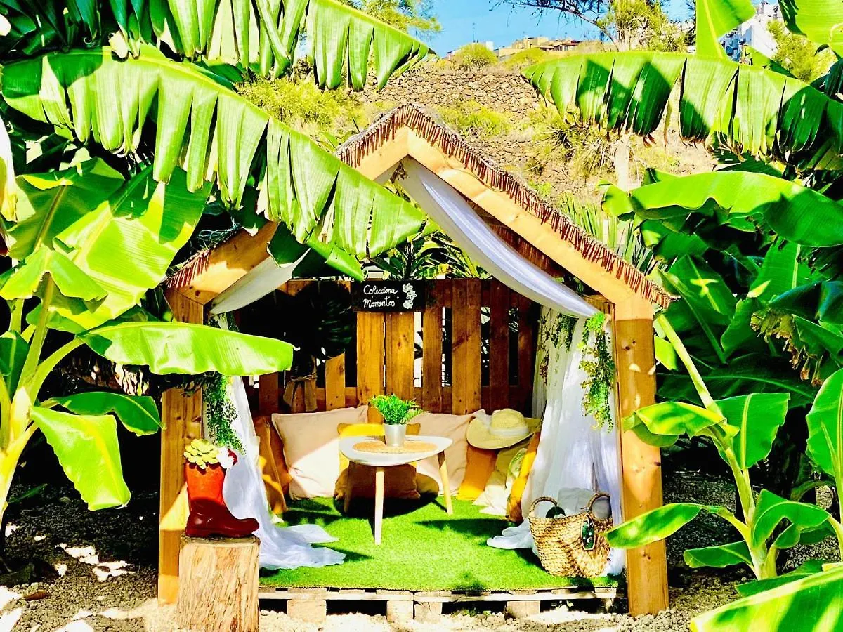 Laurisilva Love Spa Sauna Y Piscina Buzanada Holiday home