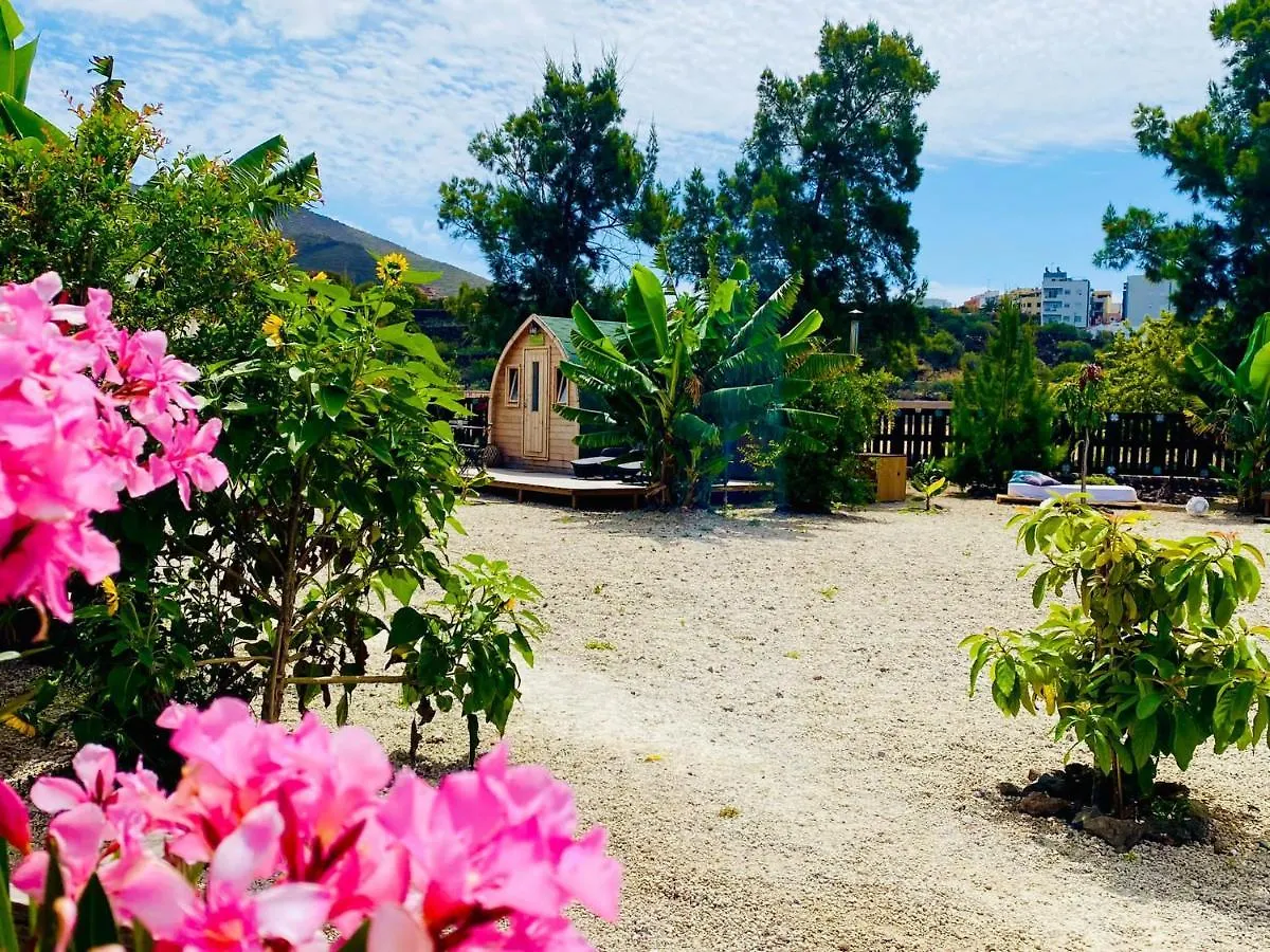 Laurisilva Love Spa Sauna Y Piscina Buzanada Holiday home